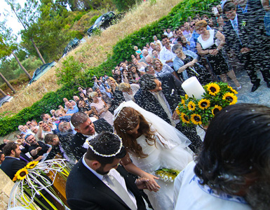 wedding