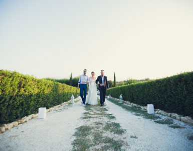 wedding